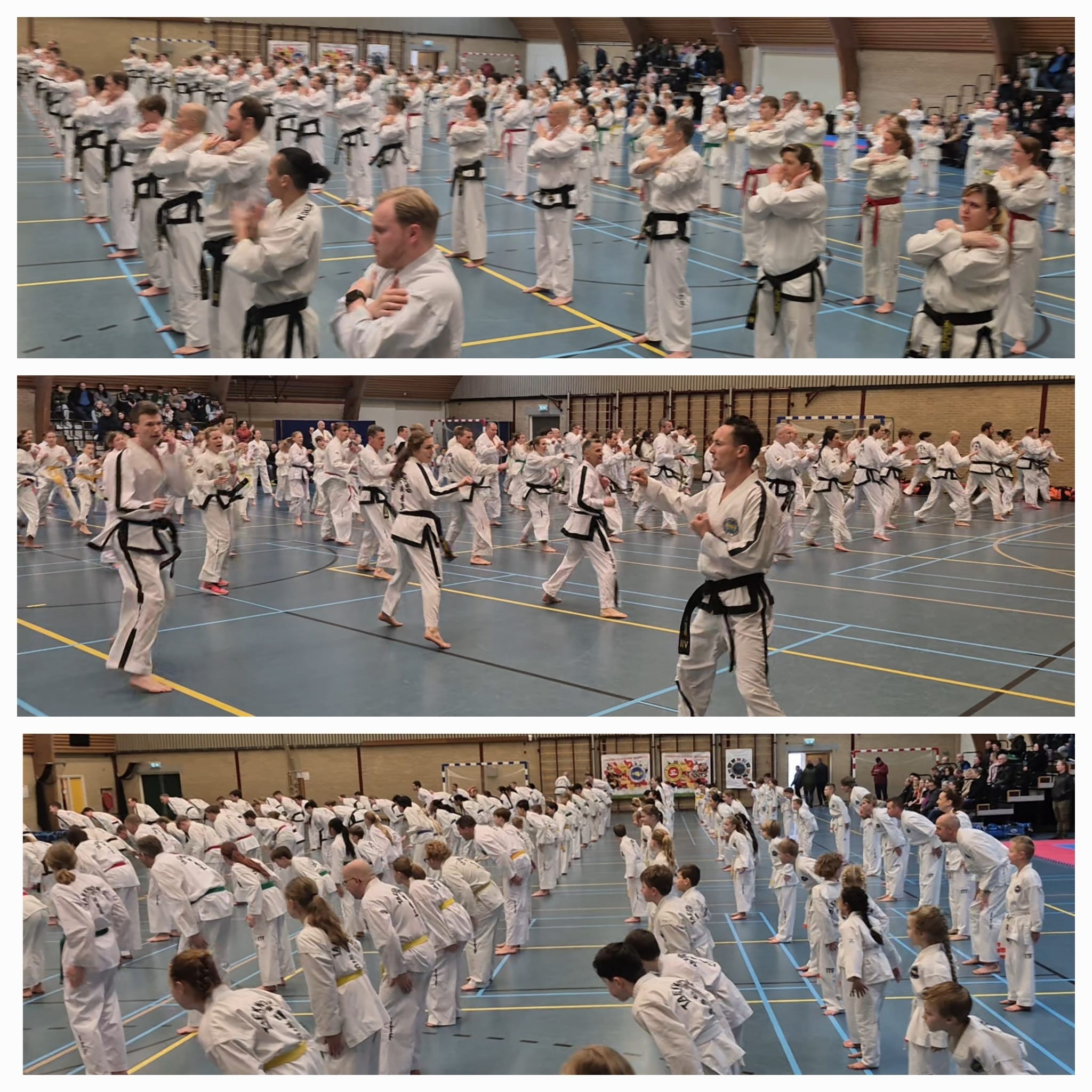 Collaborative Training