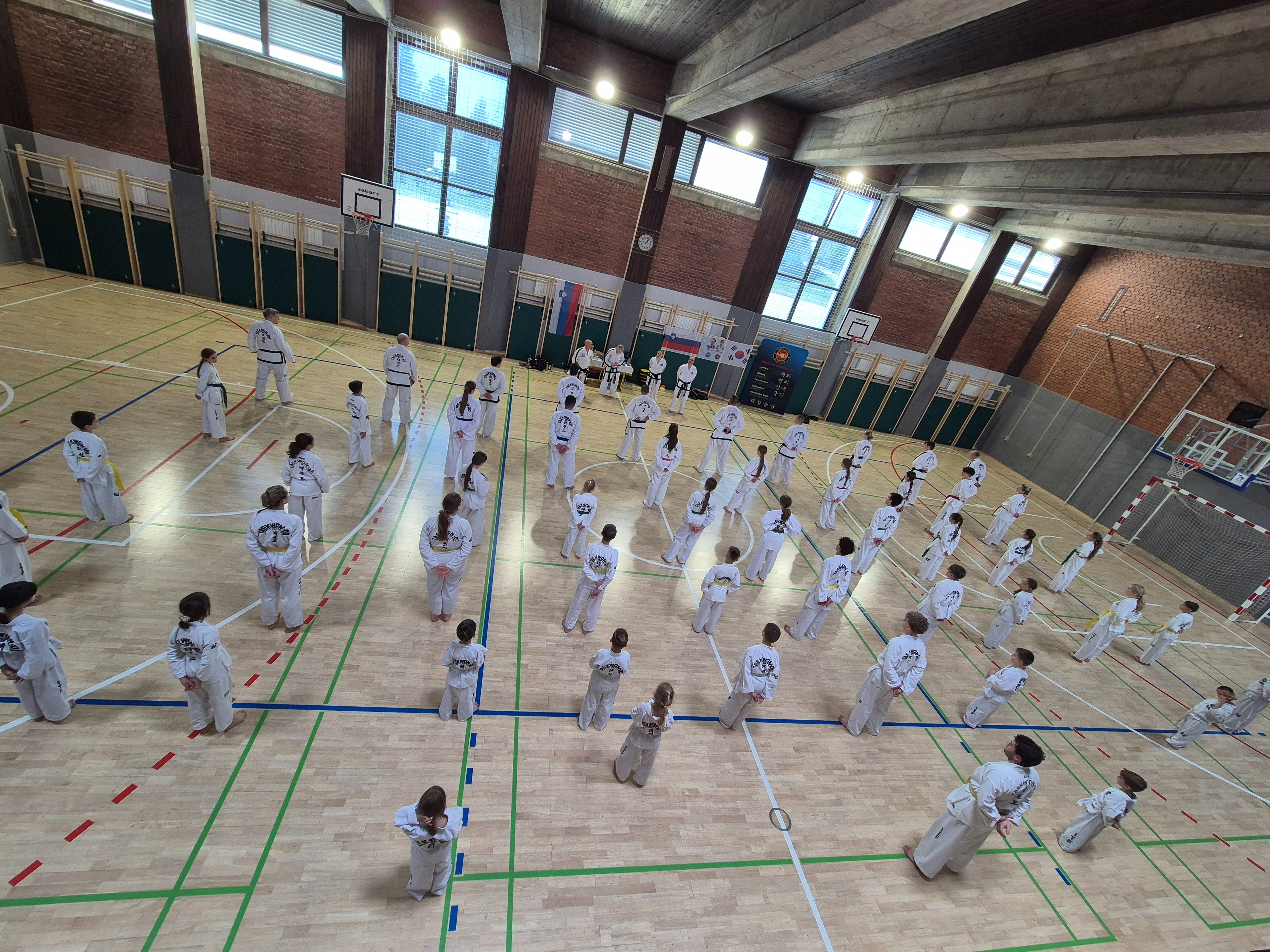 11th Taekwon-Do Chocolate Seminar 2026 in Radovljica, Slovenia